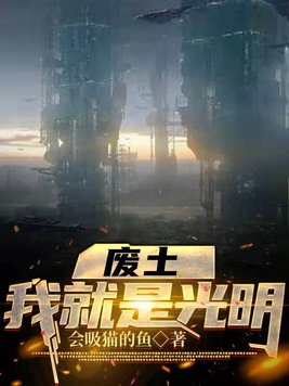 废土：我就是光明