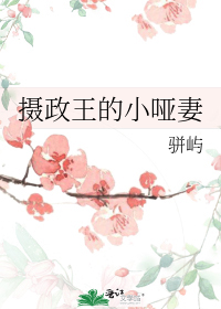 摄政王的小哑妻全文免费无弹幕