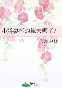 小娇妻怀的崽去哪了? 作者:八月中