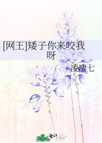 矮子王成员介绍