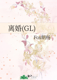 离婚gl 小说