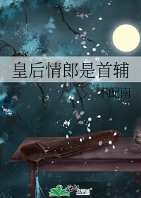 《皇后情夫是首辅》作者:不配南