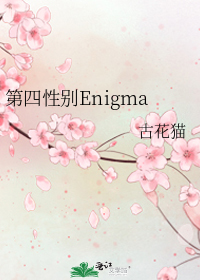 第四性别Enigma是什么