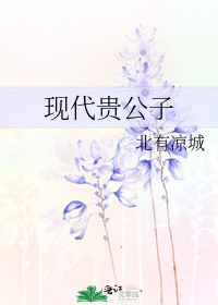 现代贵公子受