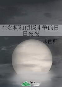 在名柯和侦探斗争的日日夜夜更名前