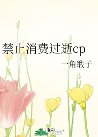 禁止消费过逝cp 小说