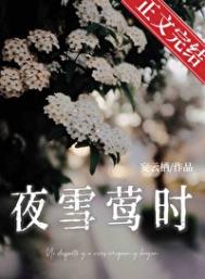 夜雪莺时先婚后爱