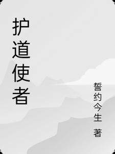 护华使者歌曲