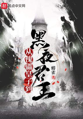 小说从傀儡皇子到黑夜君王