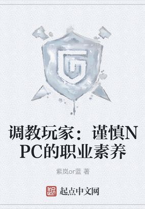 调教玩家谨慎NPC的职业素养