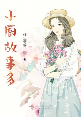 小厨师的故事