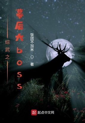 综武之幕后大boss