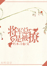 将军总是撩我