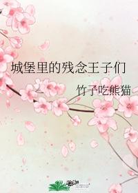 城堡里的残念王子们讲的什么