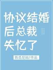 协议结婚后总裁失忆了 作者:西瓜尼姑